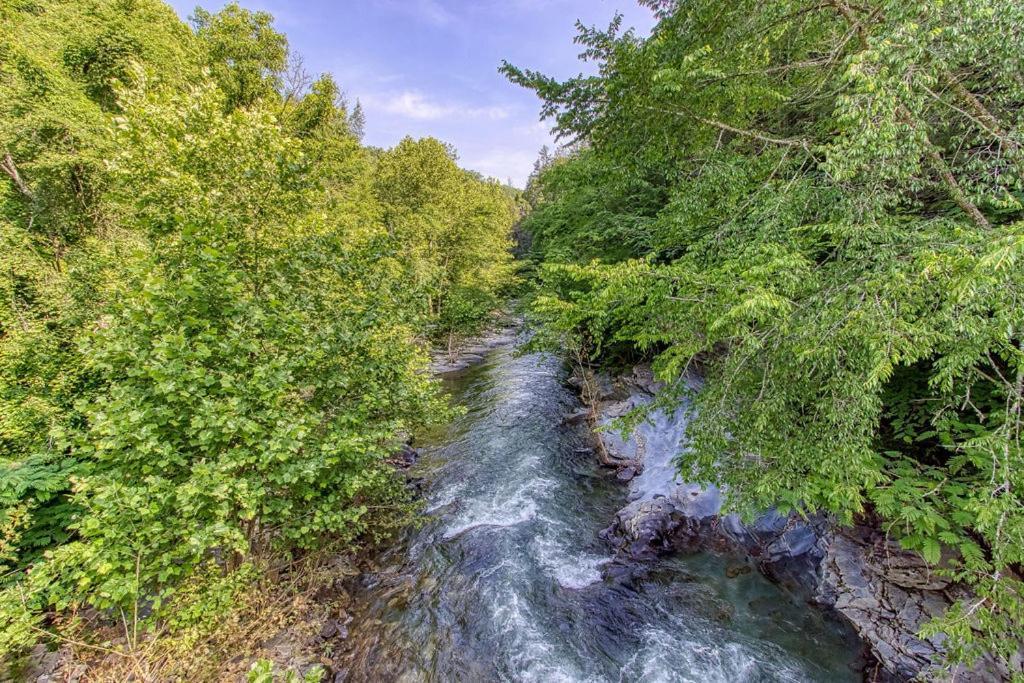 River Song, Near River, Hot Tub, Foosball, Wifi 1089 Free Tickets Each Paid Day, Dollywood And More Севьервилл Экстерьер фото